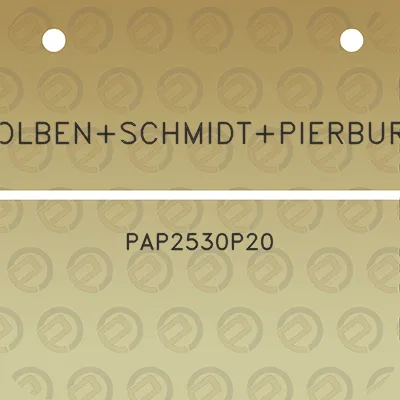 kolbenschmidtpierburg-pap2530p20