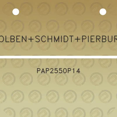 kolbenschmidtpierburg-pap2550p14