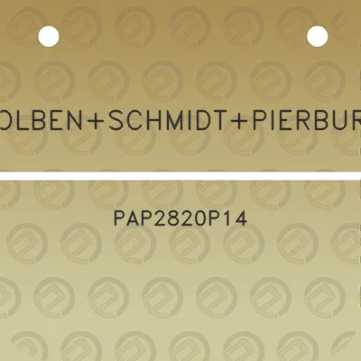 kolbenschmidtpierburg-pap2820p14