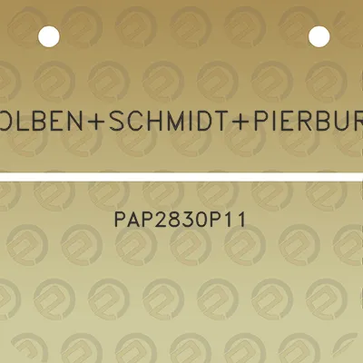 kolbenschmidtpierburg-pap2830p11