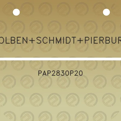 kolbenschmidtpierburg-pap2830p20