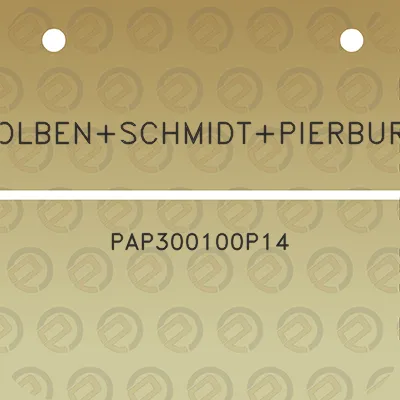 kolbenschmidtpierburg-pap300100p14