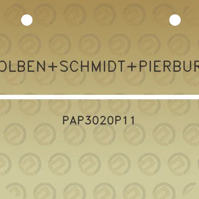 kolbenschmidtpierburg-pap3020p11