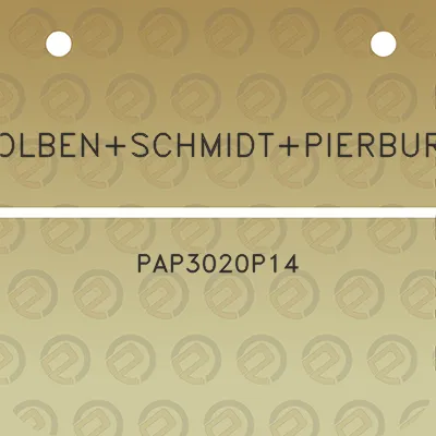 kolbenschmidtpierburg-pap3020p14