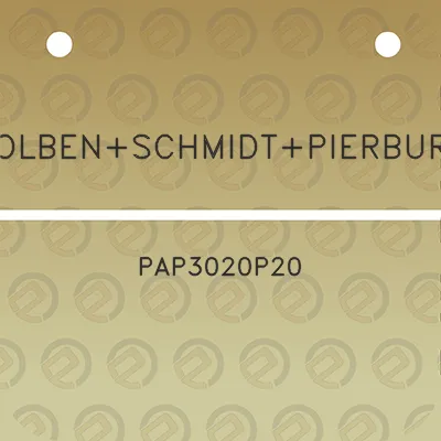 kolbenschmidtpierburg-pap3020p20