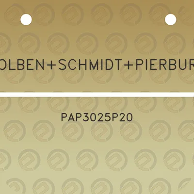 kolbenschmidtpierburg-pap3025p20