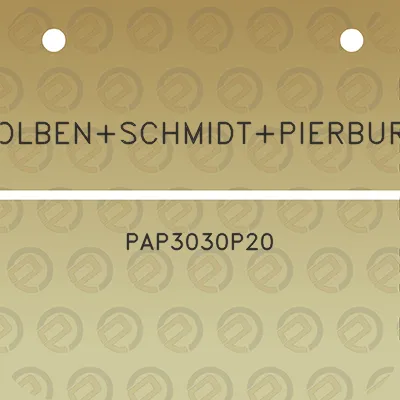 kolbenschmidtpierburg-pap3030p20