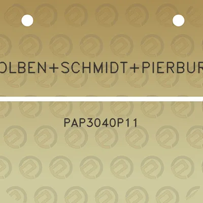 kolbenschmidtpierburg-pap3040p11