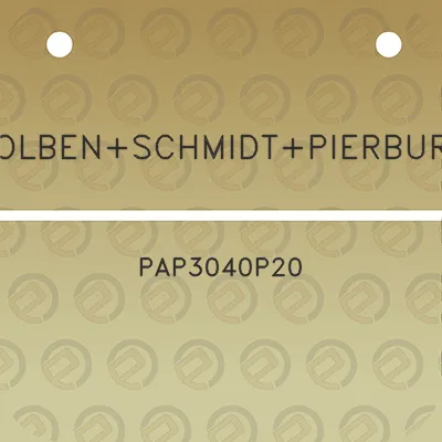 kolbenschmidtpierburg-pap3040p20