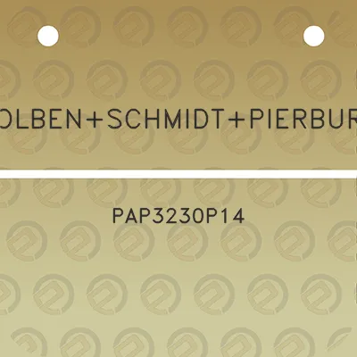 kolbenschmidtpierburg-pap3230p14