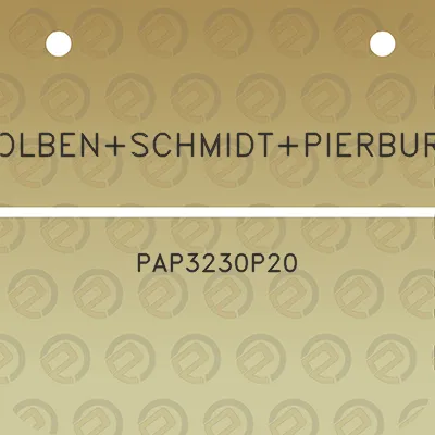 kolbenschmidtpierburg-pap3230p20