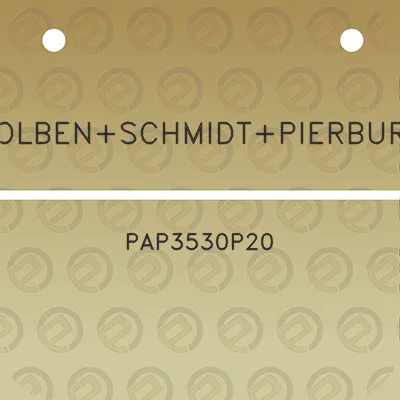 kolbenschmidtpierburg-pap3530p20