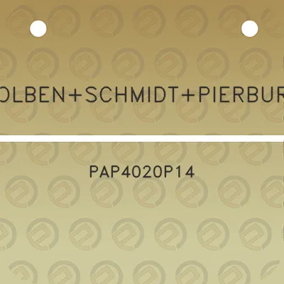 kolbenschmidtpierburg-pap4020p14