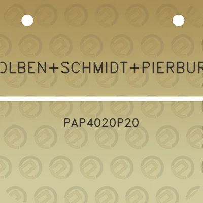 kolbenschmidtpierburg-pap4020p20