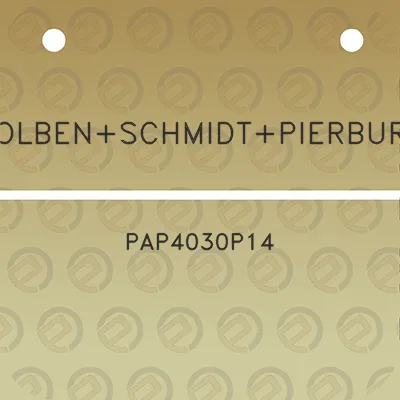 kolbenschmidtpierburg-pap4030p14