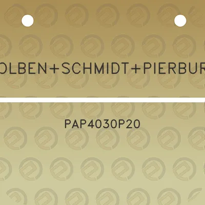 kolbenschmidtpierburg-pap4030p20