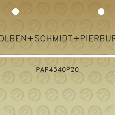 kolbenschmidtpierburg-pap4540p20