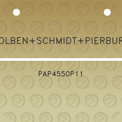 kolbenschmidtpierburg-pap4550p11