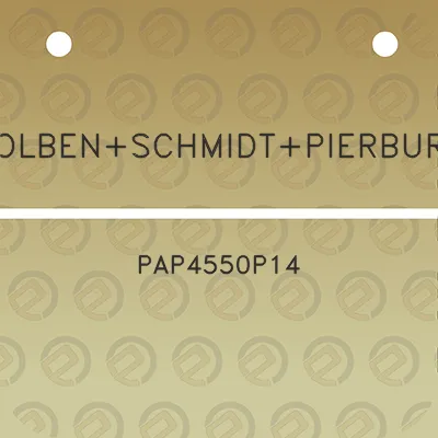 kolbenschmidtpierburg-pap4550p14