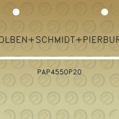 kolbenschmidtpierburg-pap4550p20