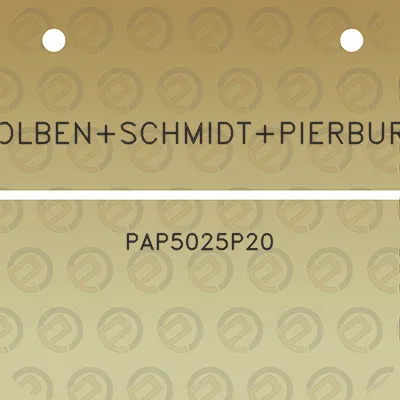 kolbenschmidtpierburg-pap5025p20