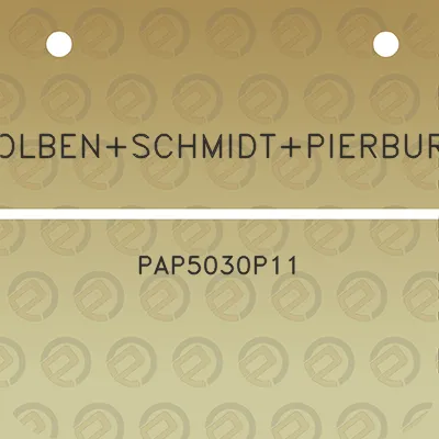 kolbenschmidtpierburg-pap5030p11