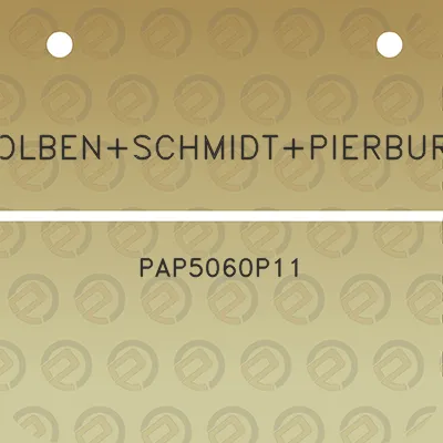 kolbenschmidtpierburg-pap5060p11