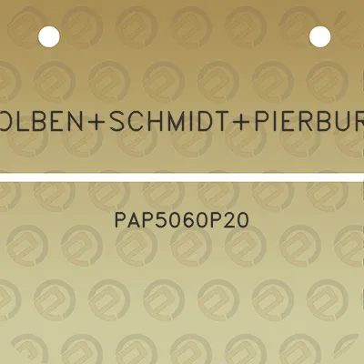 kolbenschmidtpierburg-pap5060p20