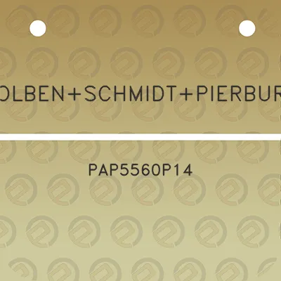 kolbenschmidtpierburg-pap5560p14