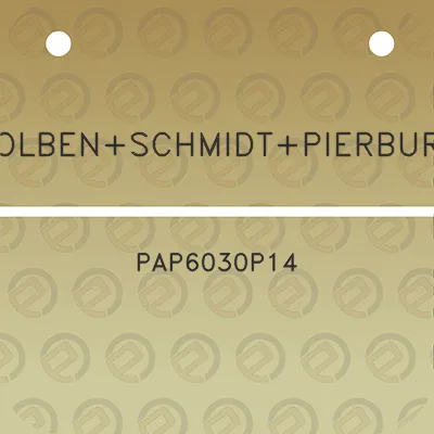 kolbenschmidtpierburg-pap6030p14