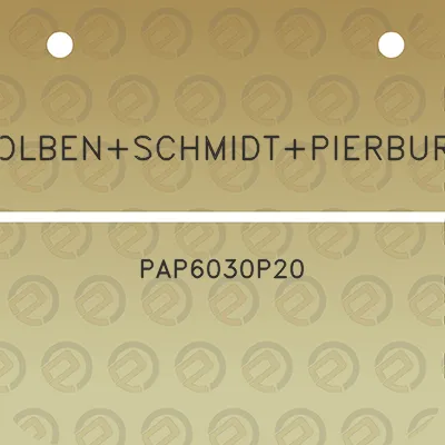 kolbenschmidtpierburg-pap6030p20