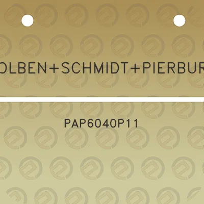 kolbenschmidtpierburg-pap6040p11