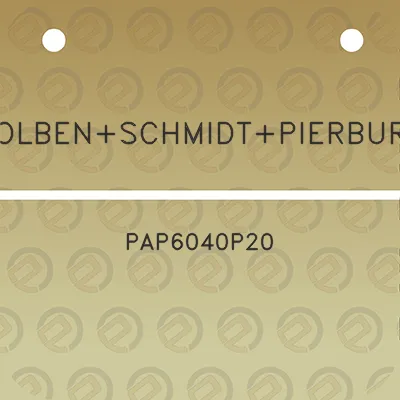 kolbenschmidtpierburg-pap6040p20