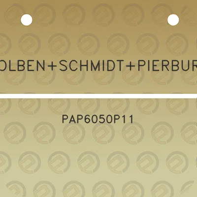 kolbenschmidtpierburg-pap6050p11