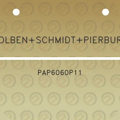 kolbenschmidtpierburg-pap6060p11