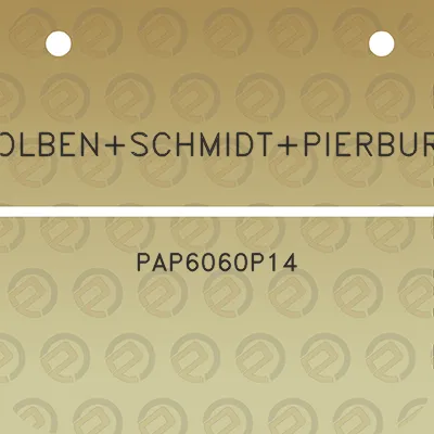 kolbenschmidtpierburg-pap6060p14