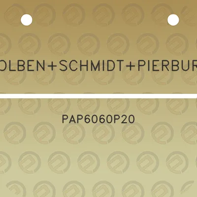 kolbenschmidtpierburg-pap6060p20