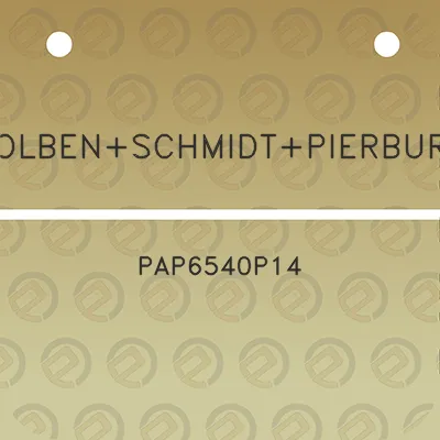 kolbenschmidtpierburg-pap6540p14