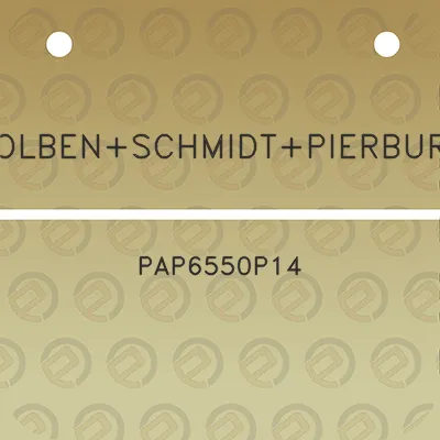 kolbenschmidtpierburg-pap6550p14