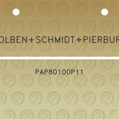 kolbenschmidtpierburg-pap80100p11