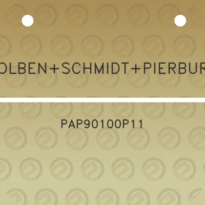 kolbenschmidtpierburg-pap90100p11