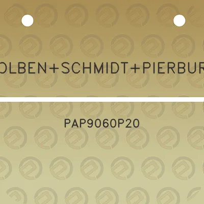 kolbenschmidtpierburg-pap9060p20