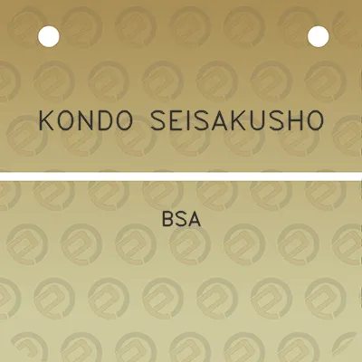 kondo-seisakusho-bsa