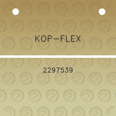 kop-flex-2297539