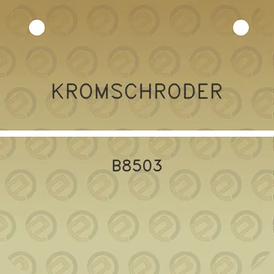 kromschroder-b8503