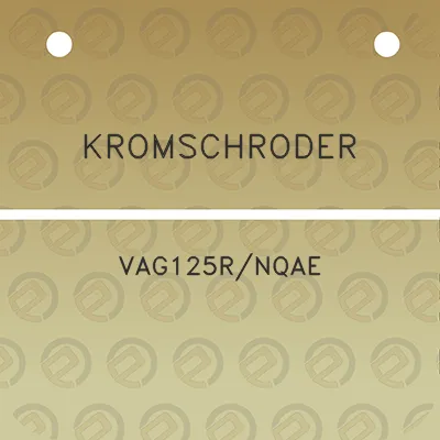 kromschroder-vag125rnqae