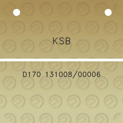 ksb-d170-13100800006