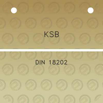 ksb-din-18202