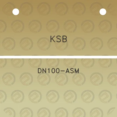 ksb-dn100-asm