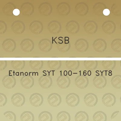 ksb-etanorm-syt-100-160-syt8